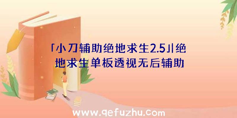 「小刀辅助绝地求生2.5」|绝地求生单板透视无后辅助